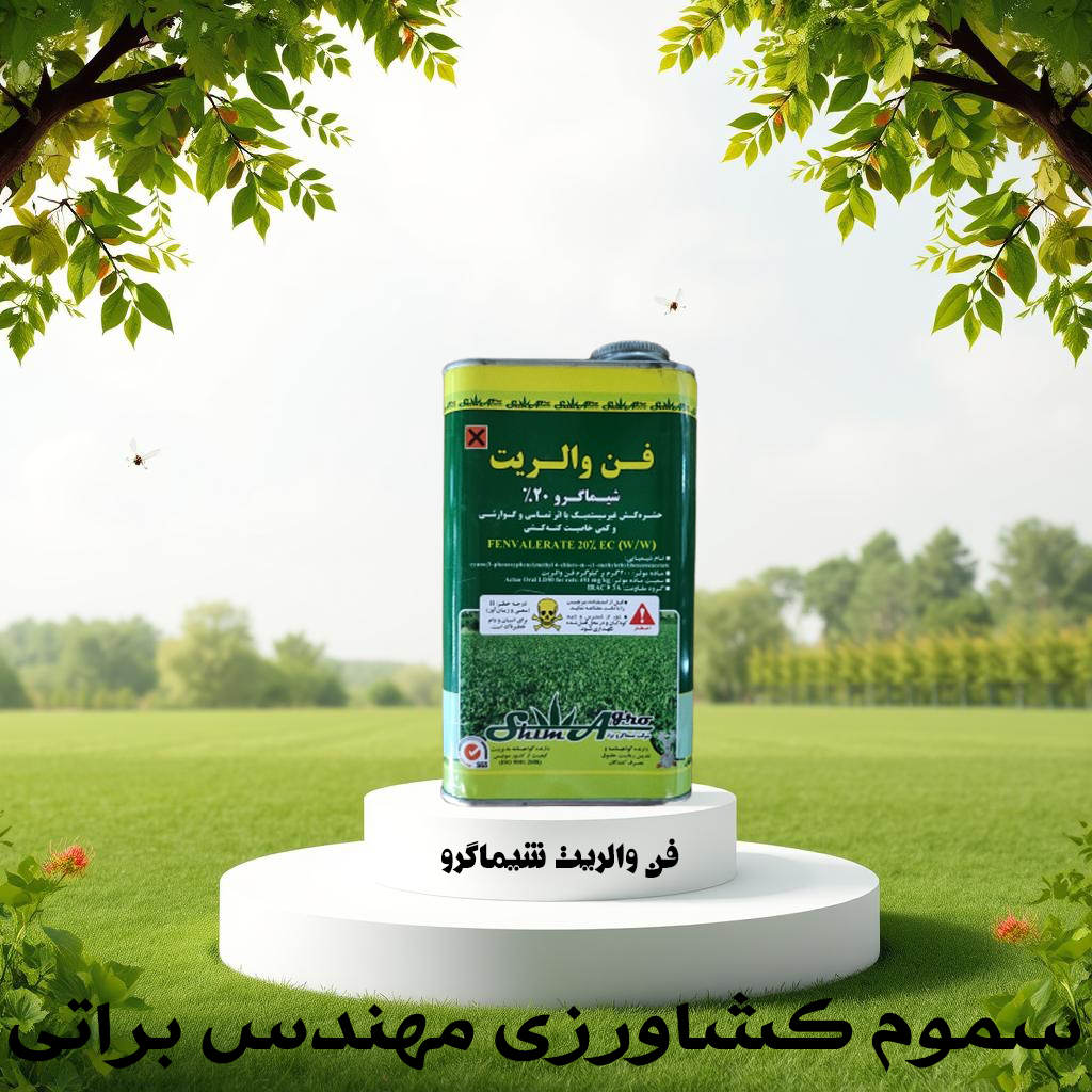 فن والریت شیماگرو